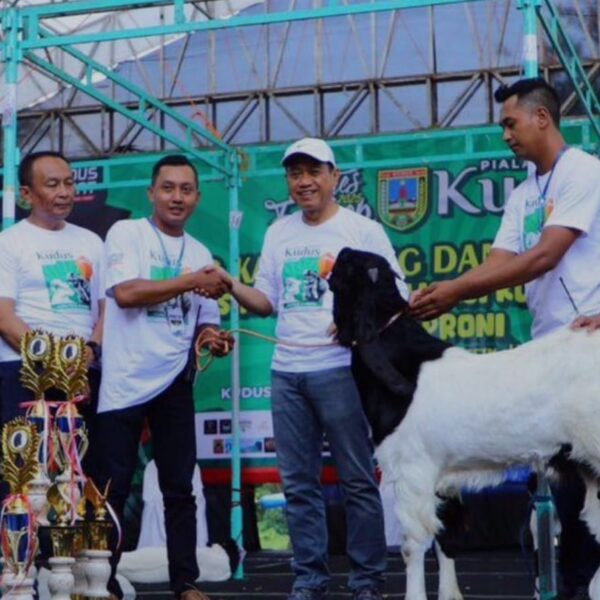 Kontes Embek 2025 Meriah, Bupati Kudus Dorong Penguatan Peternakan Lokal