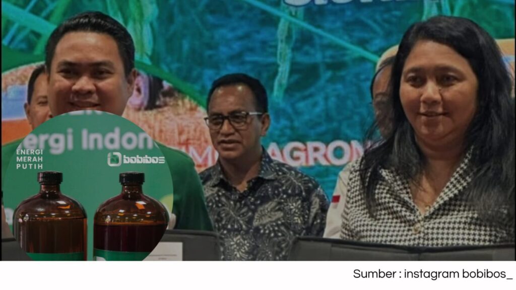 BOBIBOS Jadi Harapan Energi Murah Timor Leste, Indonesia Masih Cari Payung Hukum