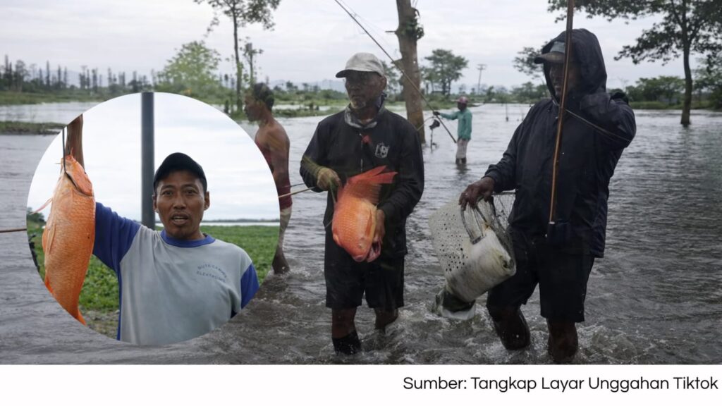 Viral Warga Tangkap Ikan Tombro Besar di Tengah Banjir Mejobo Kudus
